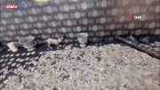 Hatay'da Tarihi Eser Kaçakçılarına Büyük Darbe: 13 Bin Parça Ele Geçirildi