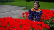Keukenhof Lale Bahçesi 77. Yılında Ziyaretçilerini Ağırlamaya Başladı