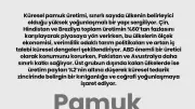 Küresel Pamuk Üretiminde Lider Ülkeler ve Piyasa Yoğunlaşması