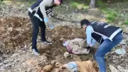 Pendik'te Tarihi Silah Parçası Operasyonu: 4 Gözaltı