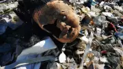 Prof. Dr. Sedat Gündoğdu'dan Plastik Yönetmeliğine Kritik Öneri: Üretim Kısıtlaması Şart