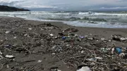 Sahil Bir Anda Çöp Yığınına Dönüştü, Vatandaşlar Şaşkın
