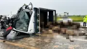 Siirt'te feci kaza: Koyun yüklü kamyonet ile otomobil çarpıştı, 2 ölü 3 yaralı