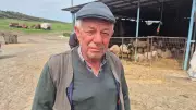 Silivri'de Kurbanlık Parası Çalınan 70 Yaşındaki Çiftçi, Kahvede İçirilen İçecekle Uyutulduğunu İddia Etti