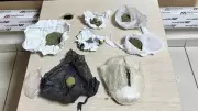 Silvan'da Uyuşturucu Operasyonu: 6 Şüpheliye İşlem, Tonlarca Madde Ele Geçirildi