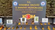 İstanbul'da tarihi eser operasyonu: 12 gözaltı, 374 eser ele geçirildi