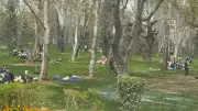 Tahran'da Sirenlere Karşı Semaver: Savaş Gölgesinde Nevruz Pikniği