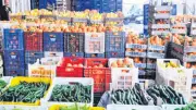 Ticaret Bakanlığı Meyve Sebze Ödemelerinde 30 Gün Kuralını Zorunlu Kıldı