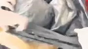 Torbacının Evinde Yapılan Aramada 5 Kilogram Esrar Ele Geçirildi