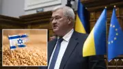 Ukrayna'dan İsrail'e çalıntı tahıl uyarısı