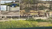 Yalova'da Hayvan Ölümleri İddialarına Yönelik Soruşturma Başlatıldı