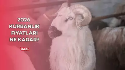 2026 Kurbanlık Fiyatları: Büyükbaş ve Küçükbaş Güncel Rakamlar