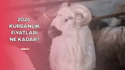 2026 Kurbanlık Fiyatları Ne Kadar? Güncel Büyükbaş ve Küçükbaş Fiyatları