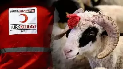 2026 Kızılay Kurbanlık Fiyatları: Yurt İçi 17.250 TL, Yurt Dışı 6.350 TL