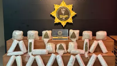 Şanlıurfa'da 20 kilo 550 gram skunk ele geçirildi, 3 tutuklama