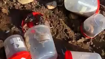 Şanlıurfa'da varilde bulunan 16 ceninle ilgili 4 personel adliyeye sevk edildi