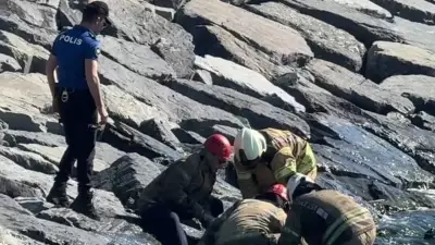 Avcılar'da kıyıya vuran cesedin kimliği belirlendi