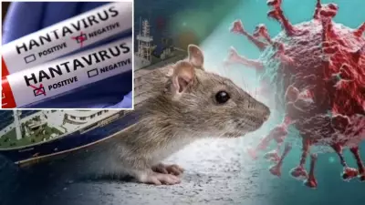 Avustralya'da Hantavirüs Alarmı: 6 Yolcunun Karantinası Uzatıldı