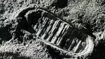 Ay tozuyla beslenen hamamböcekleri: Apollo 11'in garip deneyi
