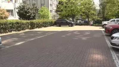 Beylikdüzü'nde başıboş köpek dehşeti: Saldırı anı kamerada