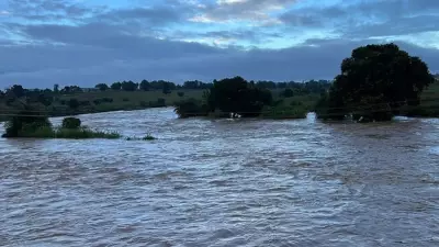 Cezayir'de sel felaketi: 6 kişi hayatını kaybetti, 6 yaralı