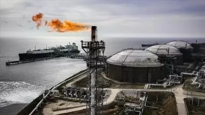 Doğal gaz ithalatı martta yıllık yüzde 4,57 arttı