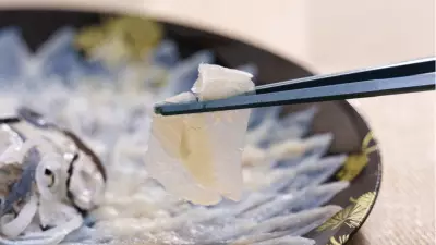 Doğru Pişirilmezse Ölüme Yol Açıyor! Dünyanın En Tehlikeli Lezzeti: Fugu Balığı