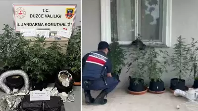 Düzce'de evin bodrumunda uyuşturucu yetiştirme düzeneği