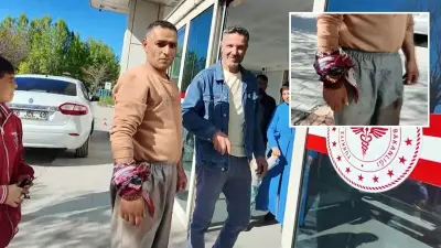 Erciş'te Kurban Bayramı'nda kesim sırasında yaralanmalar
