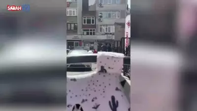 Fatih'te trafik kavgası 180 bin TL ceza getirdi