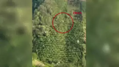 Giresun'da taklalar atan araçtan sağ çıkan Yıldız: 'Recep abi gidiyoruz' dedi, uçuruma yuvarlandık