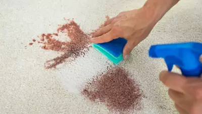 Halıdaki Lekelerden Kurtulmanın Profesyonel Yöntemi
