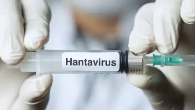 Hanta virüsü pandemi yapar mı? Prof. Dr. Özlü açıkladı