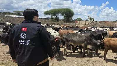 Hayrat Yardım 30'dan fazla ülkede kurban çalışmalarına başladı