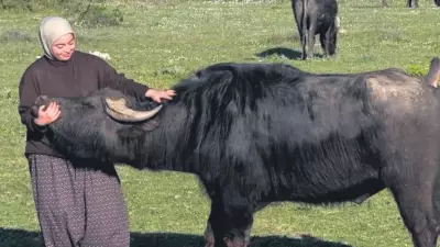 Çiftçilik: Birçok İşten Daha Zevkli Bir Uğraş