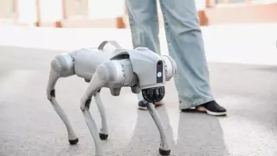 Çin malı robot köpek casus çıktı: Verileri gizlice Çin'e gönderiyor!