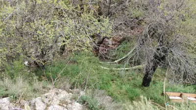 Isparta'da Tepeden Düşen Kadın Hayatını Kaybetti, Kurtarmak İsterken Düşen Adam Poliste