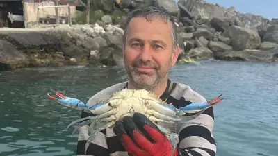 Karadeniz'de Nadir Görülen Mavi Yengeç Sinop'ta Balıkçıların Ağına Takıldı