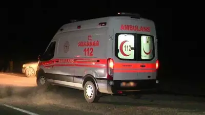 Kastamonu'da ağaç devrilmesi sonucu bir kişi hayatını kaybetti