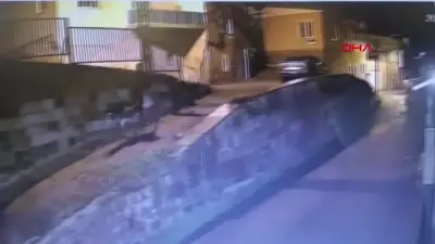 Kayseri'de kuyumcuyu eşekle soyup kaçan sanığın savunması mahkemeden ret
