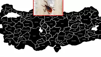 Kene Sayısı Artıyor: KKKA Hastalığına Dikkat