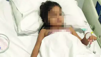 Köpek saldırısı davasında anne ifade verdi, sanık özür diledi