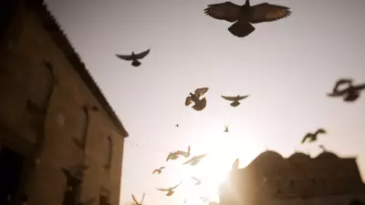 Kuşlar kadınlardan neden daha çok korkuyor? Bilim insanları çözemedi
