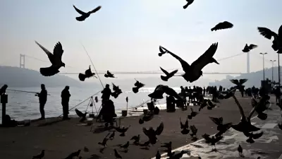 İlkbahar Hafta Sonu Göz Kırpacak: İstanbul'da 21-22°C Sıcaklık Bekleniyor