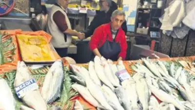 Mavi Vatan'ın İhracat Gücü Büyüyor: Denizcilik Sektörü Rekor Kırdı