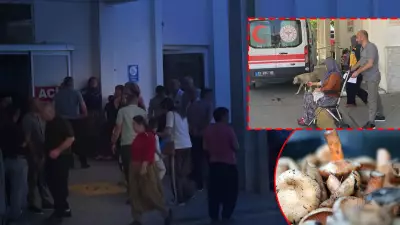 Mersin'de mantar zehirlenmesi: 7 kişi hastaneye kaldırıldı