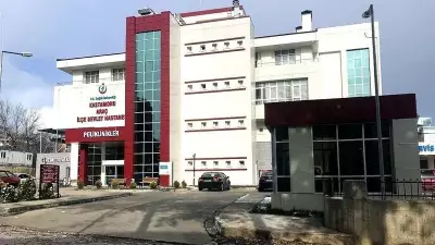 Ormanda Ağaç Keserken Devrilen Ağacın Altında Kalan İşçi Hayatını Kaybetti
