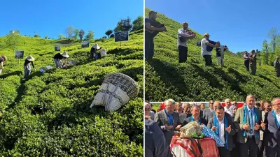 Rize'de Yeni Çay Sezonu Renkli Etkinliklerle Başladı