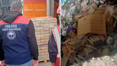 Sakarya'da sahte organik yumurta operasyonu: 42 bin yumurta imha