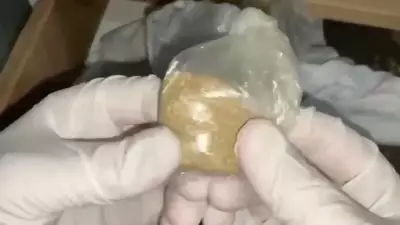 Sakarya'da Özel Harekat Destekli DEAŞ Operasyonu: 3 Gözaltı